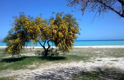 Palazzo Jannoni Holiday - Foto 46