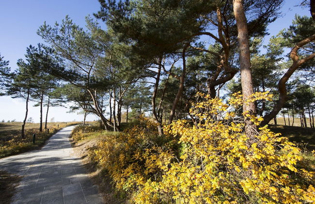 Ferienwohnungen Dünenmeer - Foto 46