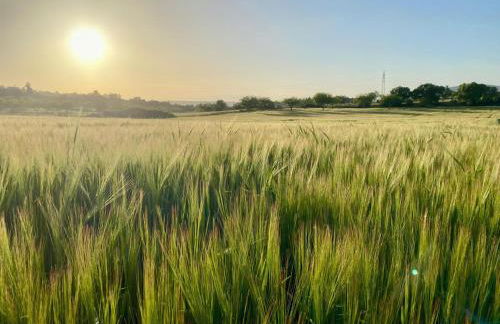 SA MANIGA 6-H - Foto 23