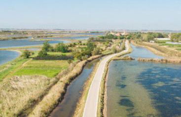 Stella di Mare - Cà Savio - Foto 50