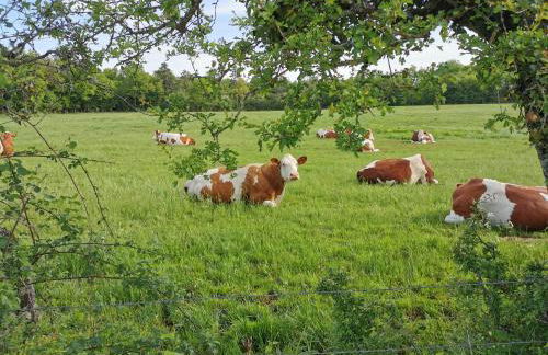 Gite Du Colombier - Foto 36