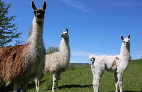 3 Bed in Bakewell oc-78618 - Foto 27