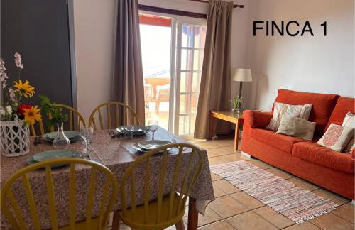 Finca La Calzada - Foto 9