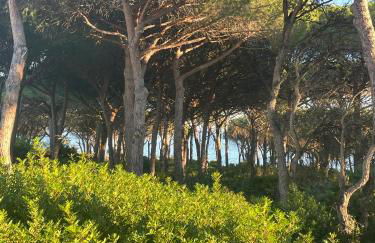 Villa Marghe - Foto 70