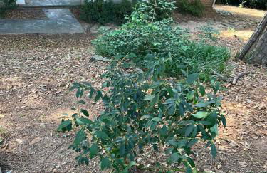 Just Peachy 2BR 2BA Private Luxury Apartment - Foto 68