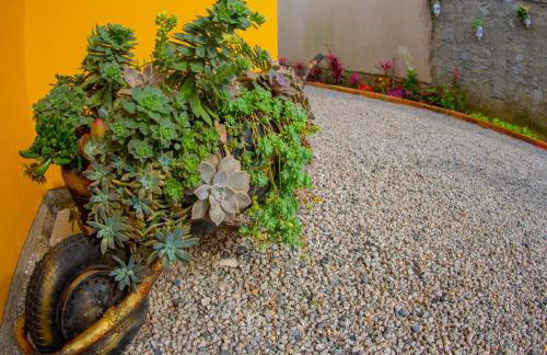 Apartamento encantador próximo praia mercado Farm padaria - Foto 14