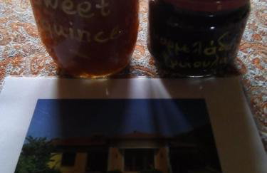 Kavala Villa 360 degrees green - Foto 18