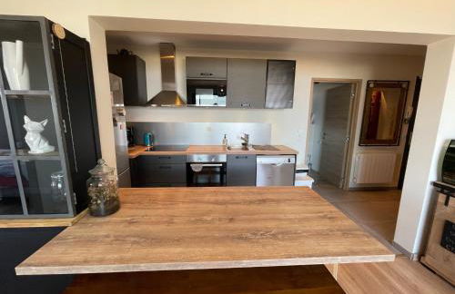 Le Turgot, proche thermes - Foto 25