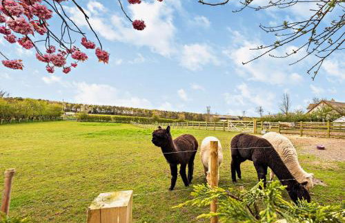 2 Bed in Cockermouth 94787 - Foto 25