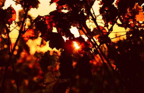 Ferienwohnung Talblick - Photo 24