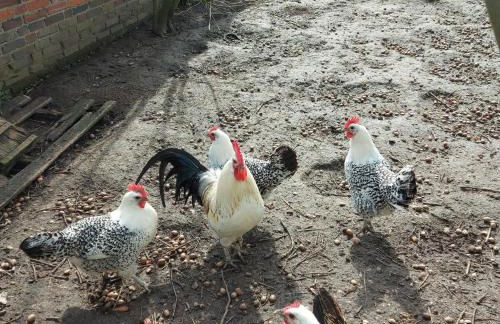 Großes Meer - Foto 13