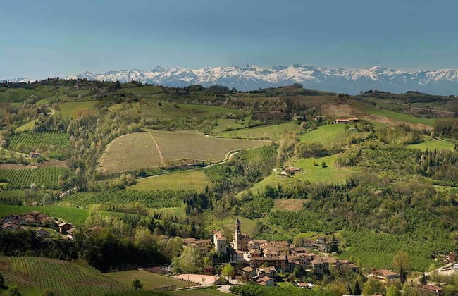 Tenuta Bricchi - Photo 41