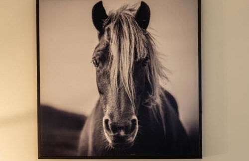 Modern & upscale home near Derby - Foto 12