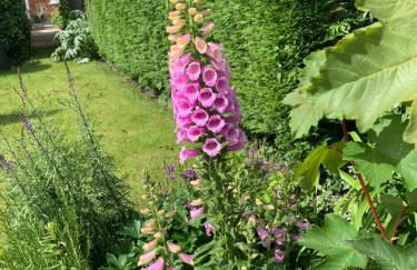 4 Danes Cottages - perfect location - Foto 26