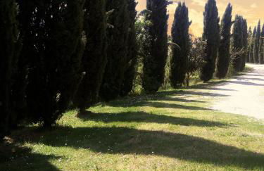 Podere Cartaio Bio Farm, private pool, AirC - Foto 32