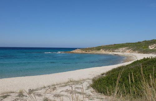 Chez Valérie et Stéphane, Les terrasses de Lozari - Foto 24