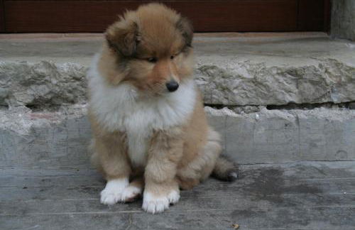 Casale Le Due Querce - Foto 14