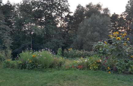 Zielone Zacisze Zwola - Foto 68