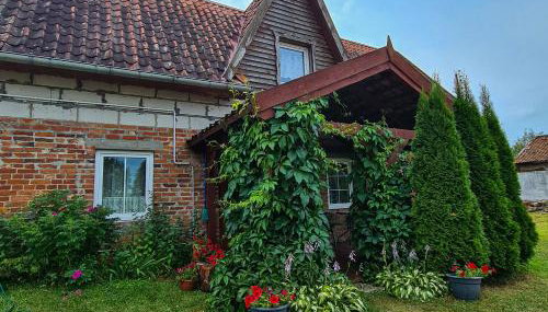 Domek Pod Mazurskim Lasem - Foto 2