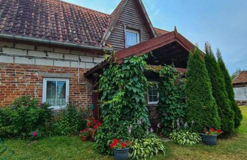 Domek Pod Mazurskim Lasem - Foto 2