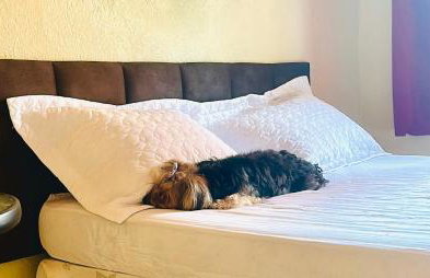 POUSADA Kit net pacoti - Foto 8