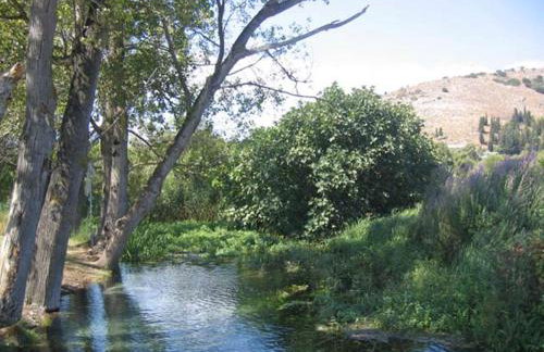 Argoliki Thalassa - Photo 36