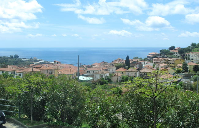 International - Foto 18