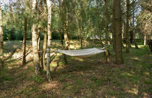 Osada Iwiec-Karpaty w Borach Tucholskich - Foto 31