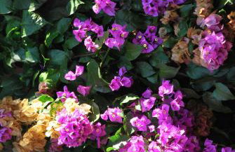 Apartments Barbara - Photo 31