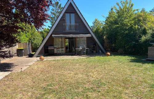 Ferienhaus Reuthsee- Nurdachhaus mit Panoramafenstern, großem Garten & hundefreundlich - Foto 1