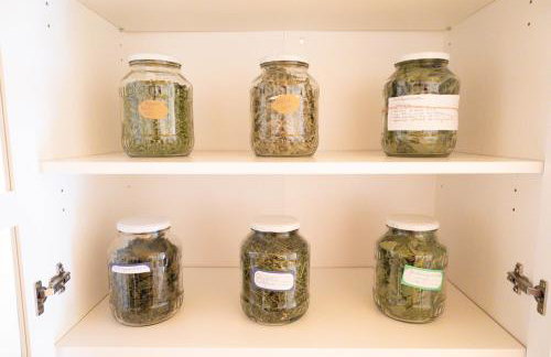 Zielona Zagroda Agnieszka Połeć - Foto 10