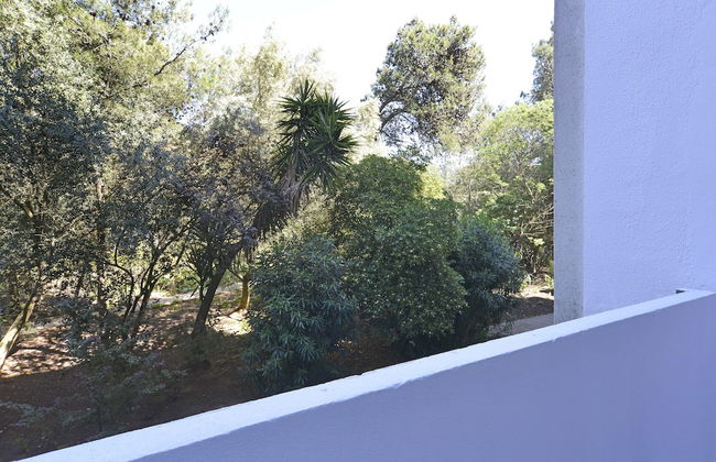 Tropical View Apartment - Photo 17