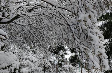 Miętowy domek - Foto 20