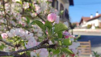 Apartamentos Goizeder - Foto 2