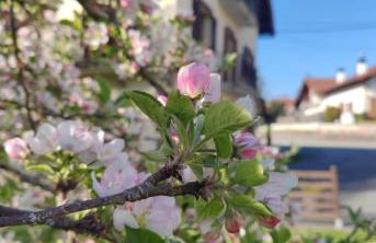 Apartamentos Goizeder - Photo 2