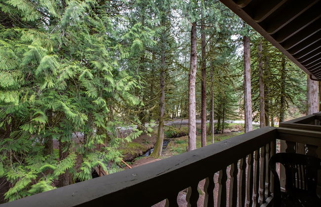 94SLL - Inexpensive - Fireplace - WiFi - Sleeps 4 - Foto 33