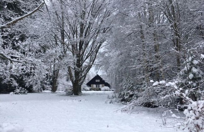 Large Hunting Lodge With Enormous Beautiful Garden - Photo 24