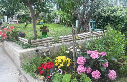 B&B Case Vacanza Orchidea marina di Macchia a Mattinata Gargano - Foto 71