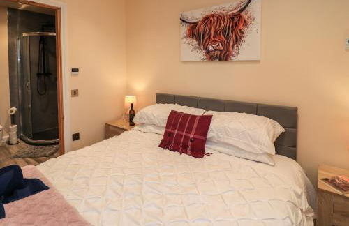 Pine Marten - Foto 19