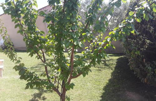 Maison les pins - Foto 13