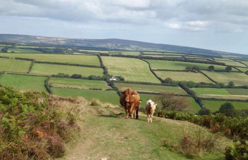 Dairy Cottage Dulverton - Foto 42