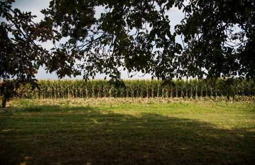 Agriturismo Corte Ruffoni - Foto 11