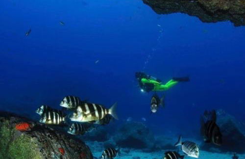 Villa VISTALEGRE relax con increíbles vistas - Foto 48