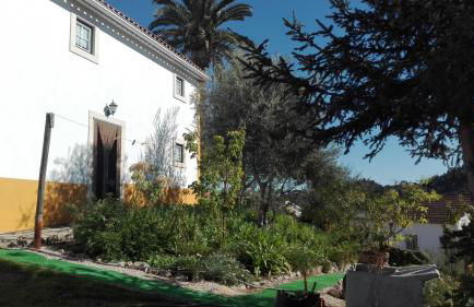 Casa da Palmeira - Foto 8