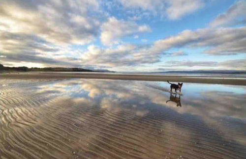 Fraoch, Pets welcome - Foto 35