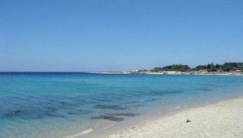 La Maison Du Parc - Foto 2