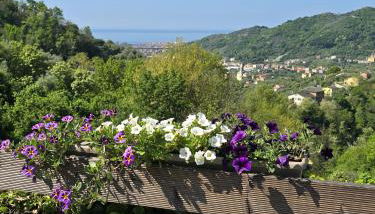 A.R.L.A. House - Foto 5