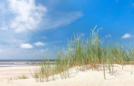 Direct Oceanfront Private Villa Overlooking Pool/Beach - South Forest Beach - Right next to Coligny Plaza - Foto 25