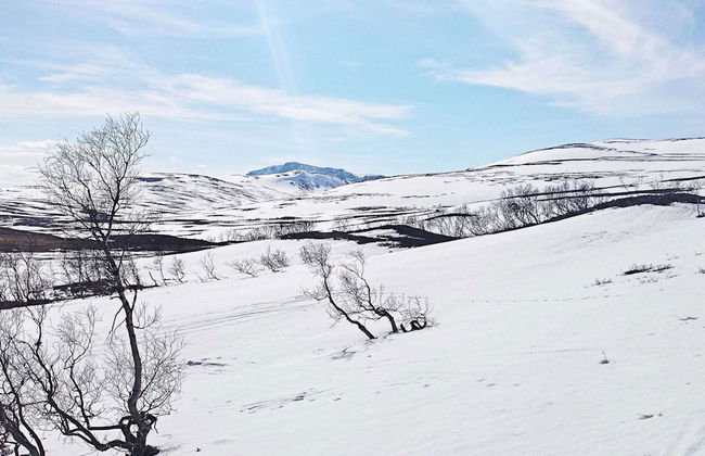 6 Person Holiday Home in Rennebu-by Traum - Foto 49