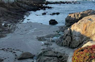 Casa Balsas - Foto 43